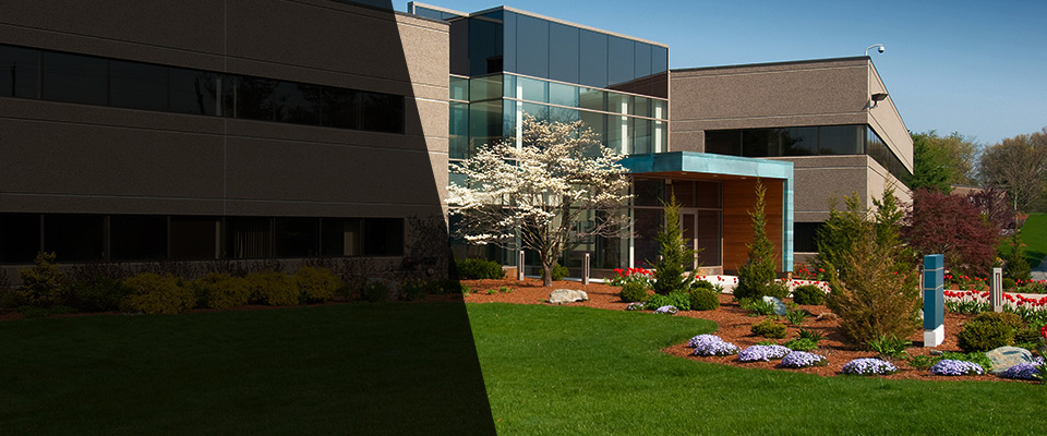 Grand Junction Landscapers